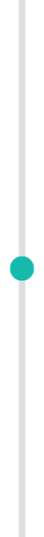 green timeline section