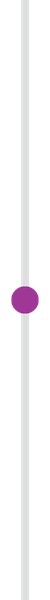 purple timeline section